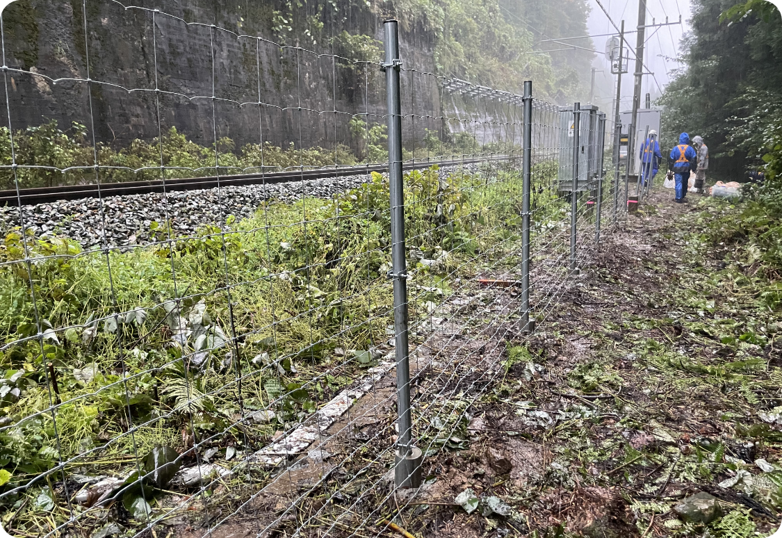 獣害対策フェンス